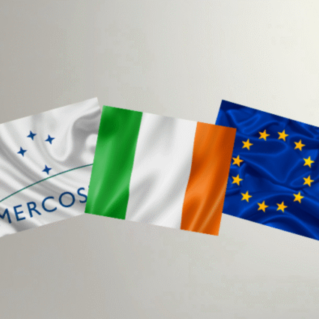 Edição especial - Observatório (14)