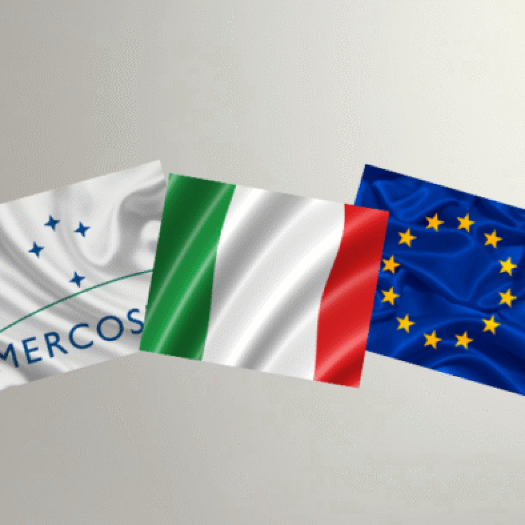 Edição especial - Observatório (15)