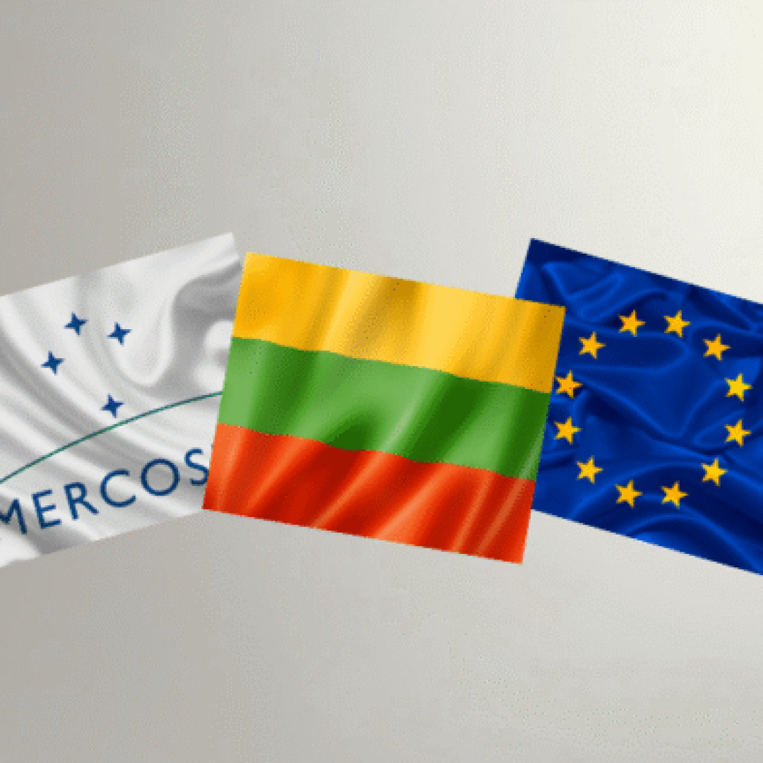 Edição especial - Observatório (16)