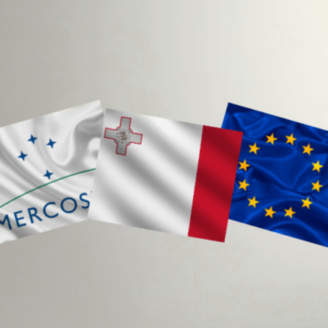 Edição especial - Observatório (18)