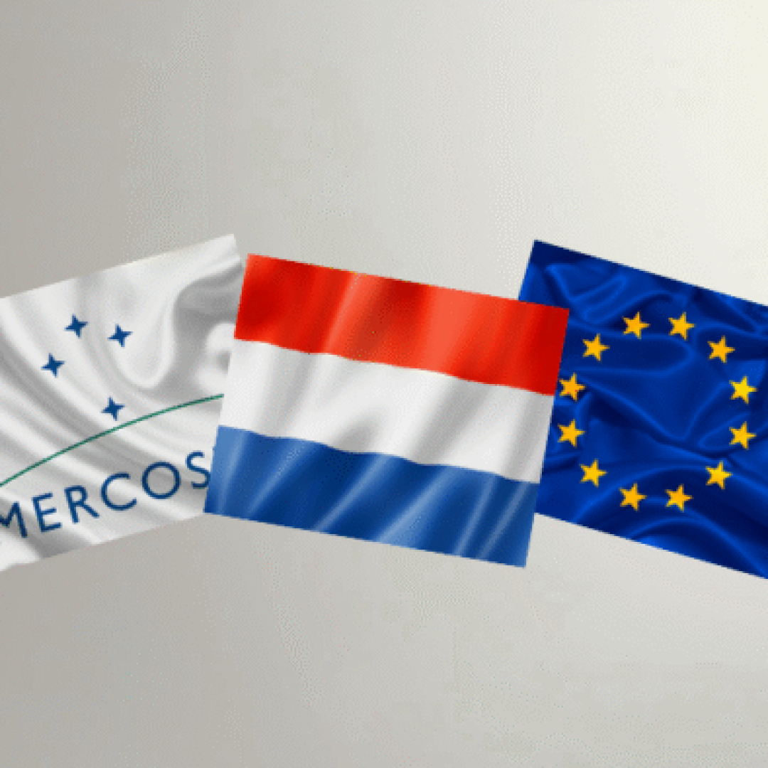 Edição especial - Observatório (19)