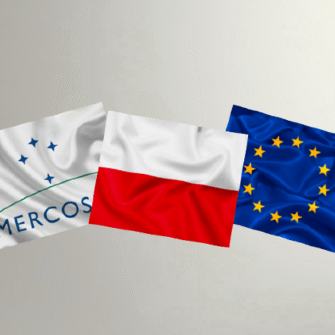 Edição especial - Observatório (20)