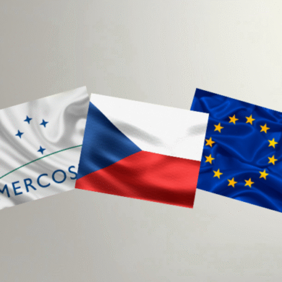 Edição especial - Observatório (21)