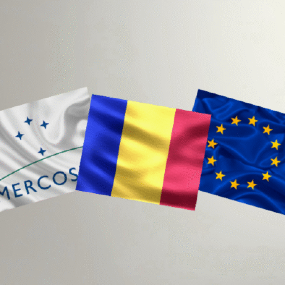 Edição especial - Observatório (22)