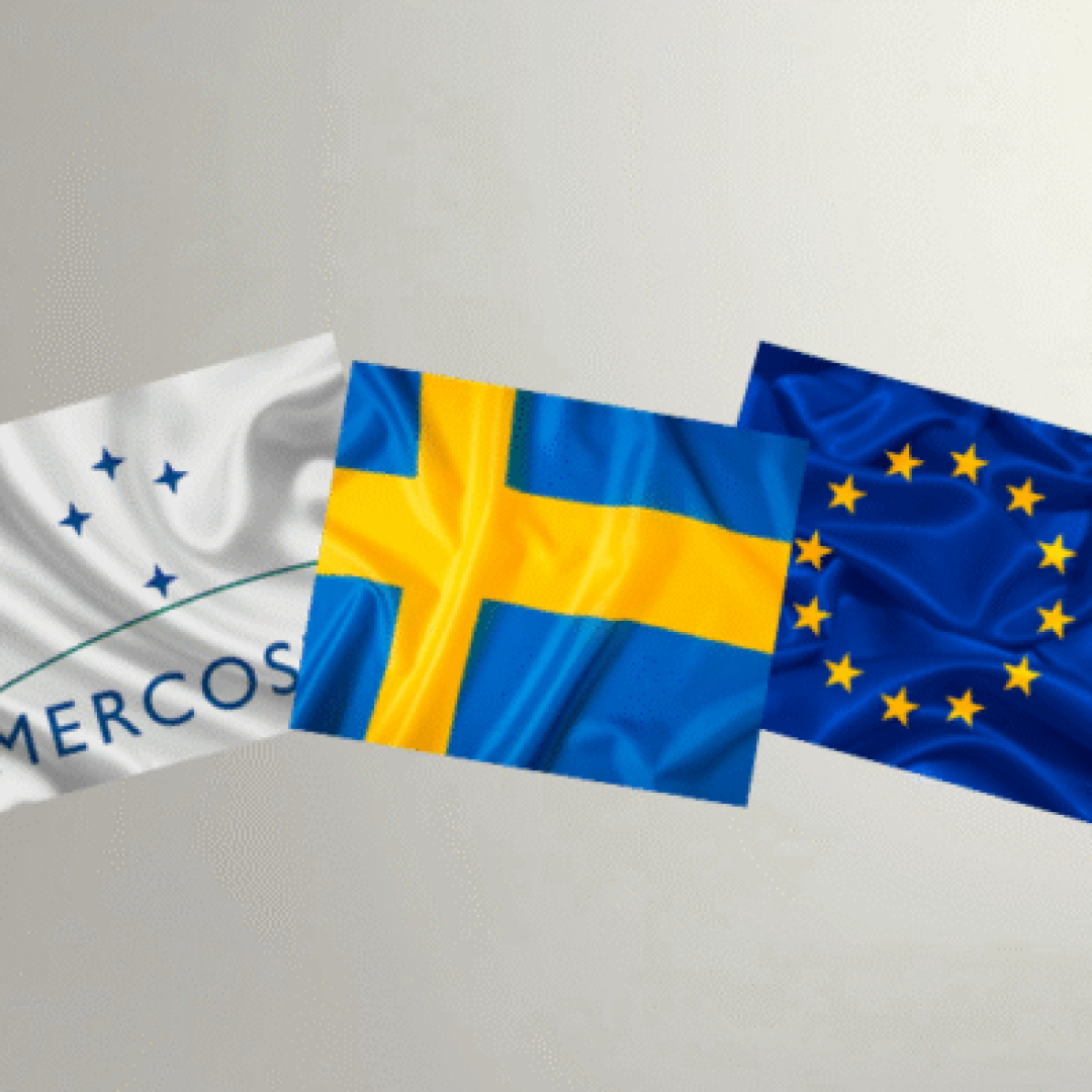 Edição especial - Observatório (23)