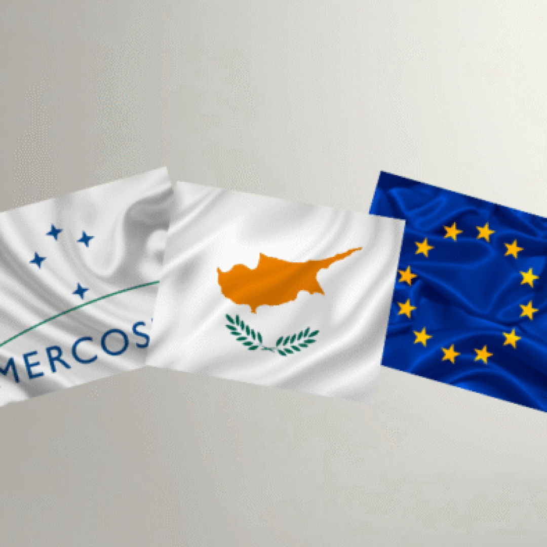 Edição especial - Observatório (25)