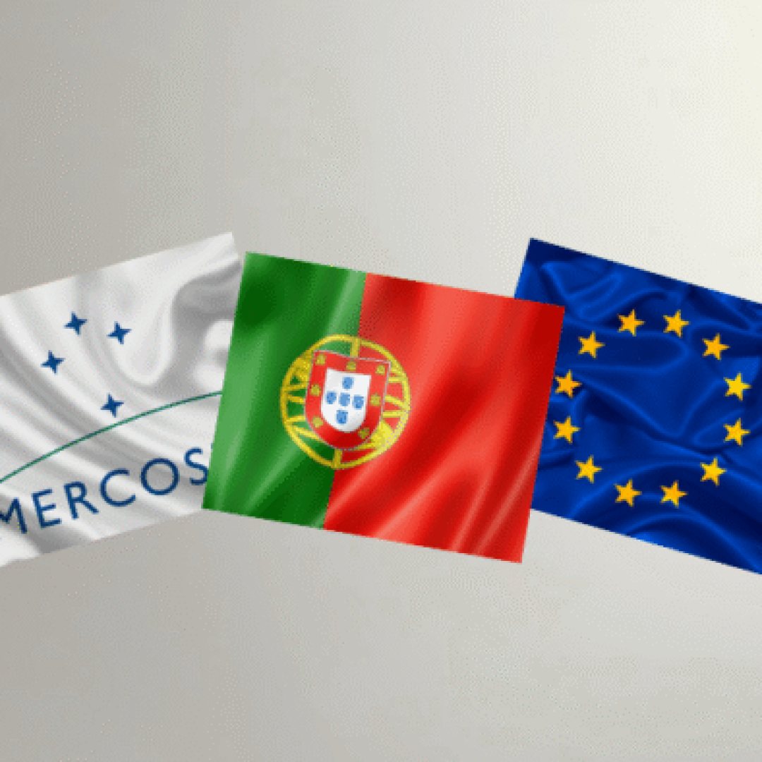 Edição especial - Observatório (26)