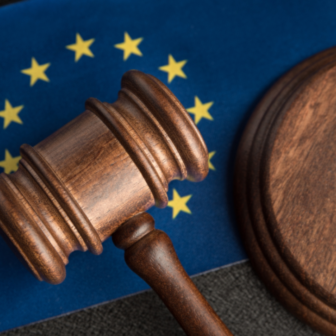 Post - Observatory on European Studies (1080 x 1350 px) - 2026-07-27T104323.038