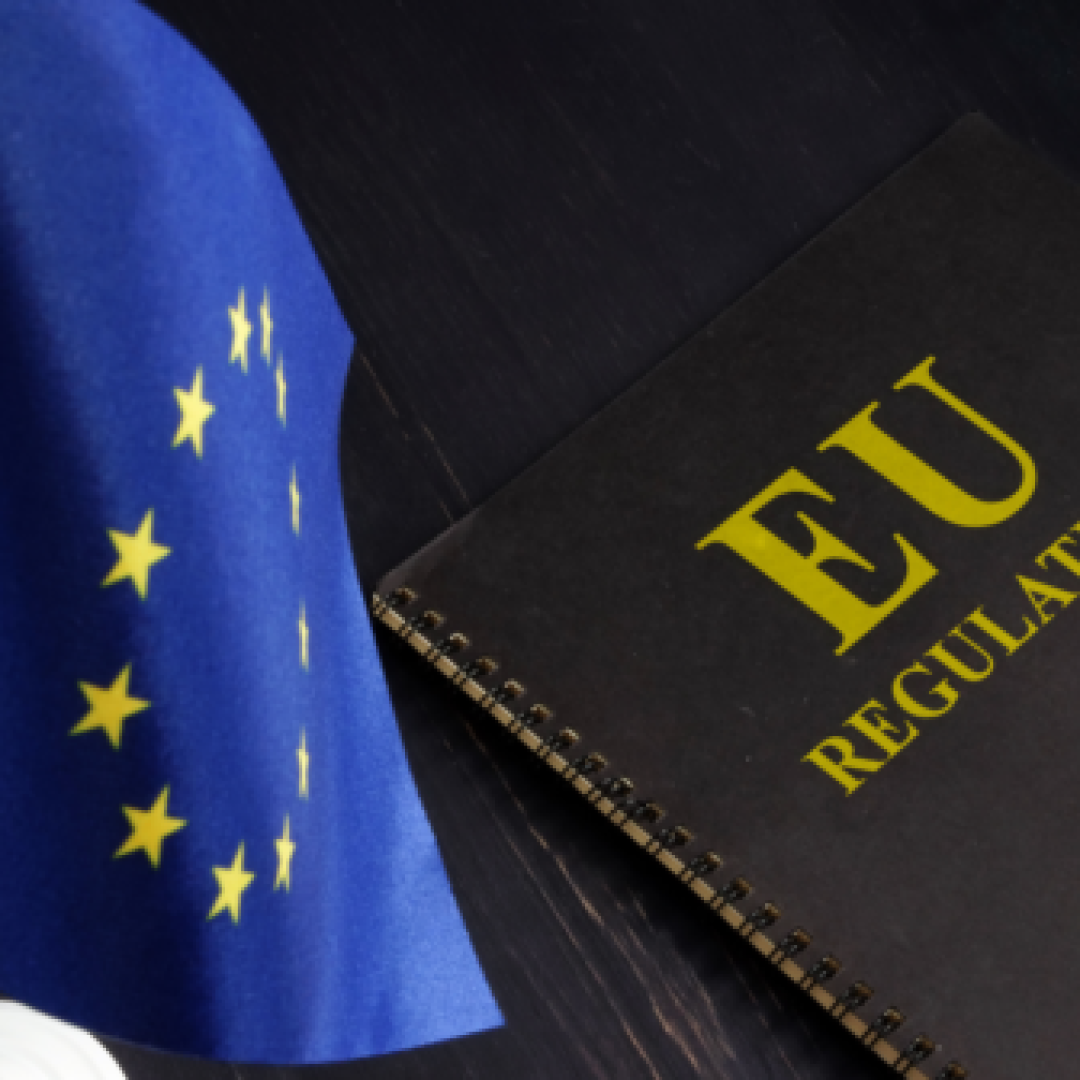 Post - Observatory on European Studies (1080 x 1350 px) - 2026-09-28T151724.297