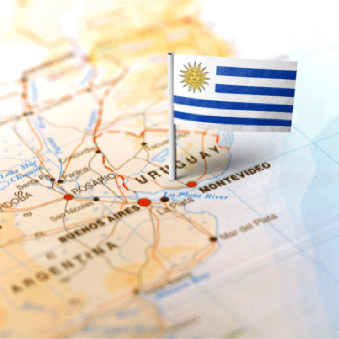 Post - Observatory on European Studies (1080 x 1350 px) (53)