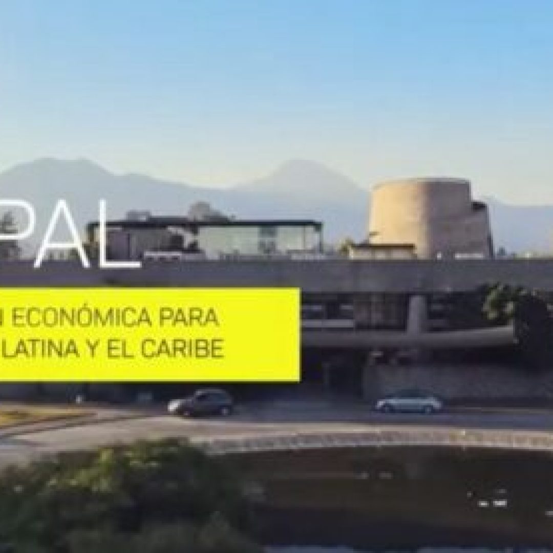 WhatsApp Image 2025-09-23 at 11.19.00