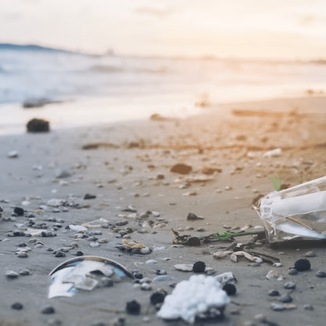 lixo-na-areia-da-praia-mostrando-o-problema-de-poluicao-ambiental_1150-6523