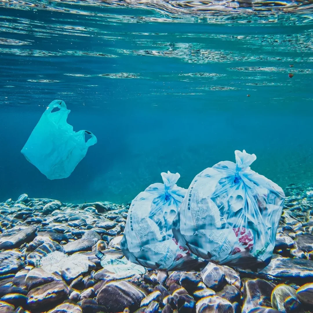 plastic-wastes-on-ocean-floor-385274-pixahive